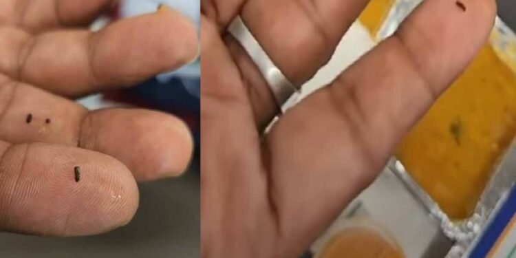Vande Bharat train passenger spots insect in sambar, know how Railways reacted – India TV