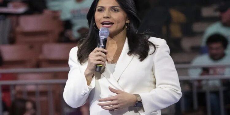 Tulsi Gabbard Hindu American appointed by Donald Trump as US intelligence chief First Congresswoman ex Democrat latest – India TV