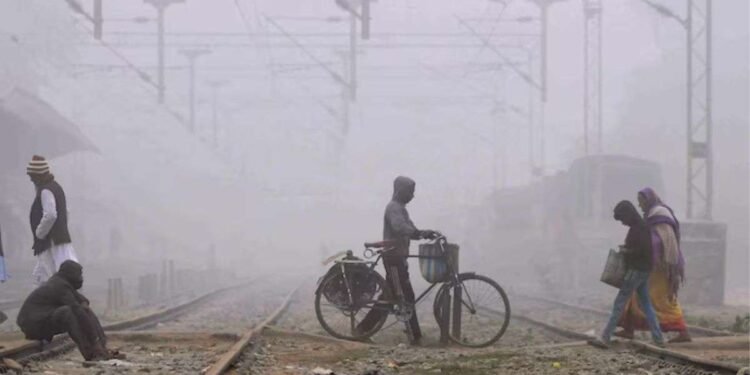 Rainfall in THESE states as cold wave grips north India, IMD issues orange alert – India TV